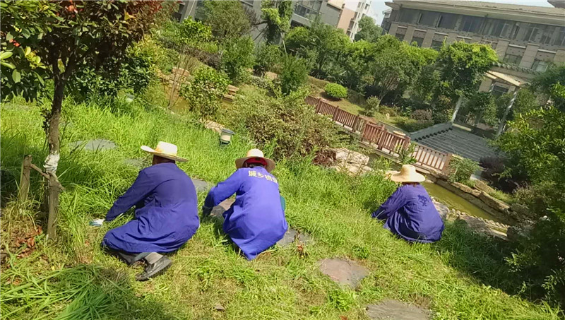 綠化拔草.jpg
