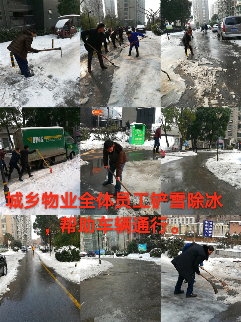 pt2018_01_29_17_00_41_mh1517216604853.jpg